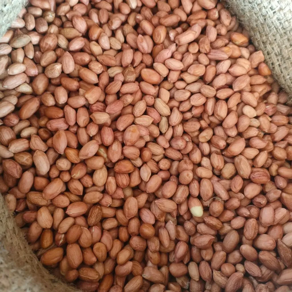 Kacang Tanah